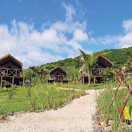 Otentic, Eco Tent Experience Grand River South East 외부 사진