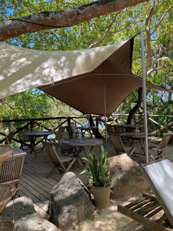 Otentic, Eco Tent Experience Grand River South East 외부 사진