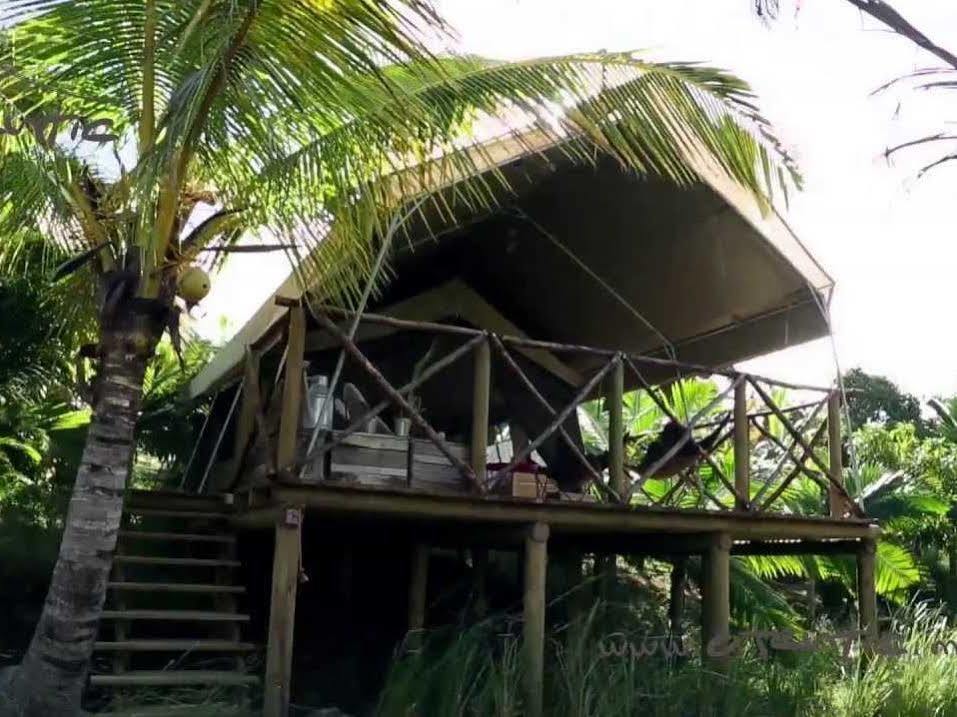 Otentic, Eco Tent Experience Grand River South East 외부 사진